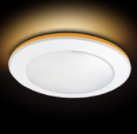 "American LED 4/6 inch disk butterfly light series for home decor"